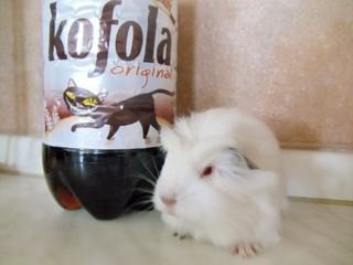 Konni s kofolou 