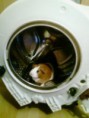 /album/fotogaleria/fotografia1411-jpg/
