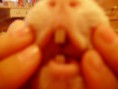 /album/dalsia-fotogalerka-/p3100386-jpg/